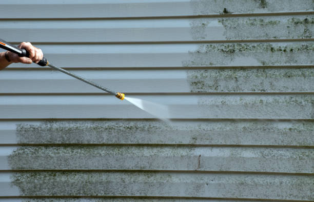 Best Deck Cleaning Services  in Valparaiso, IN